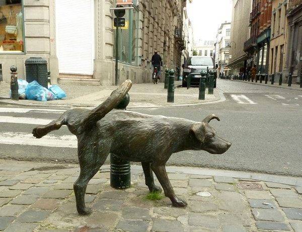 Patung Anjing Pipis Di Tepi Jalan